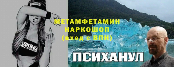 прущие грибы Семёнов